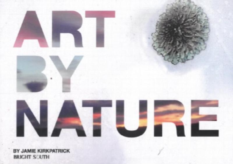 Mushroom Color Atlas A Guide to Dyes and Pigments Made from Fungi